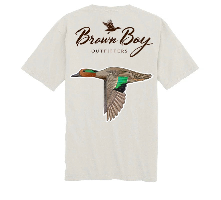 Green Wing Teal