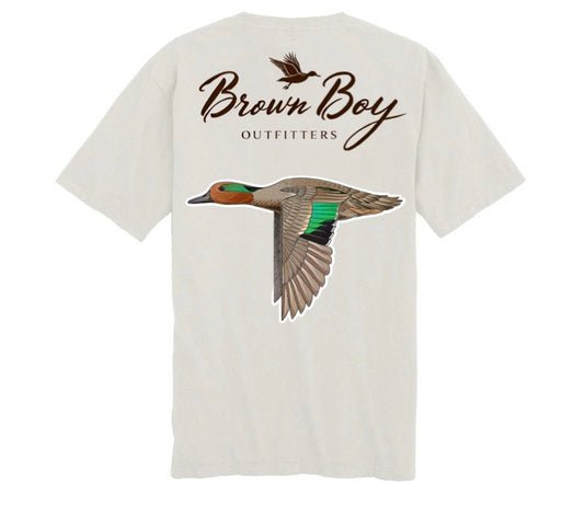 Green Wing Teal